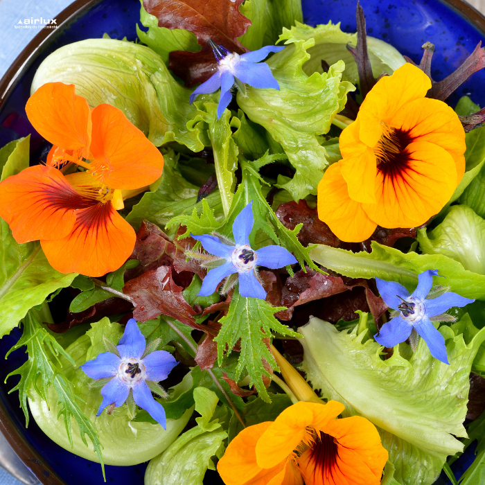 Conseil #3 : Osez les fleurs comestibles dans votre cuisine. 