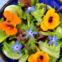 Conseil #3 : Osez les fleurs comestibles dans votre cuisine. 