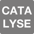 Catalyse